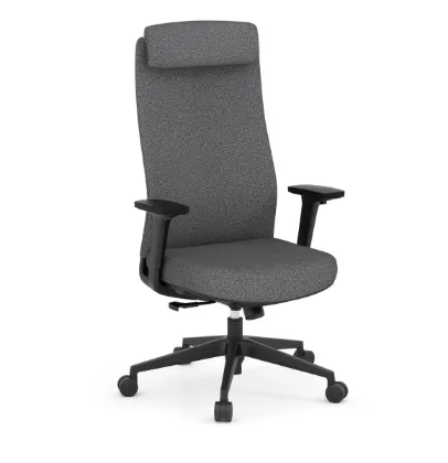 Picture of Premiera High Back Executive Chair Charcoal Fabric / Black Frame