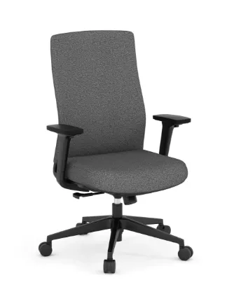 Picture of Premiera Mid-Back Executive Chair  Charcoal Fabric / Black Frame